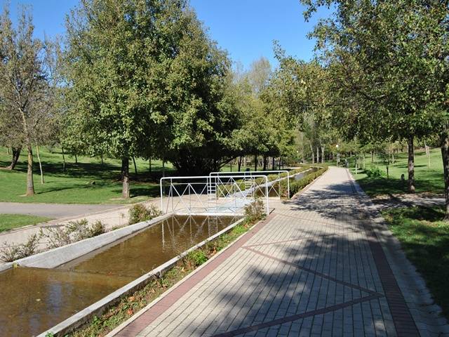 Paseo de adoquines dentro del parque