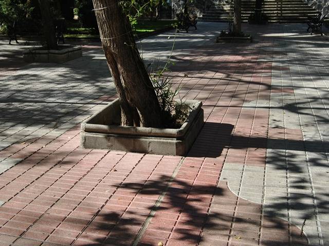 Bordillo de protecci&oacute;n de &aacute;rboles