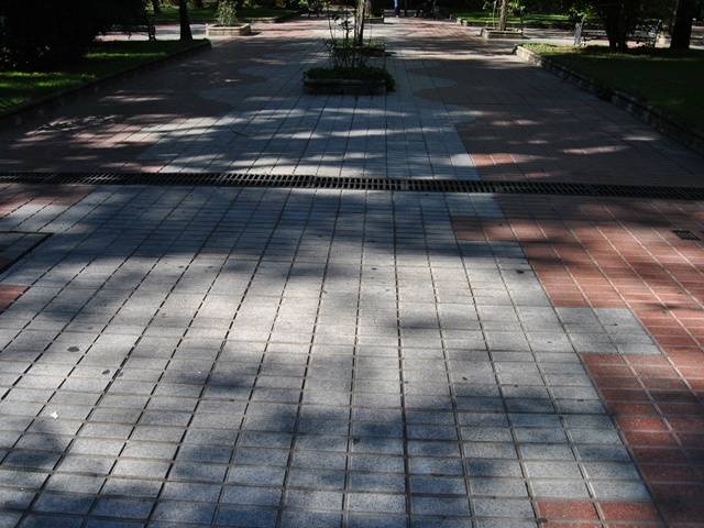 Pavimento del paseo