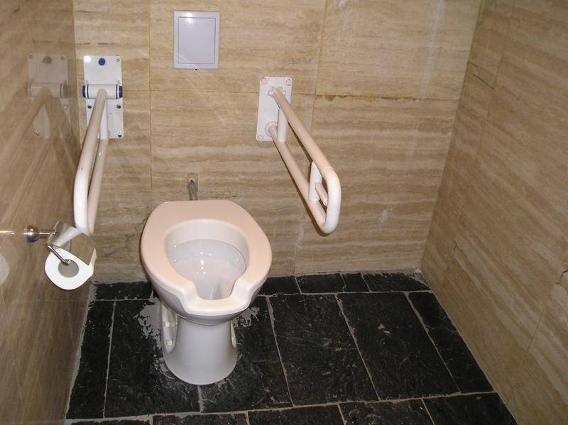 Aseo adaptado