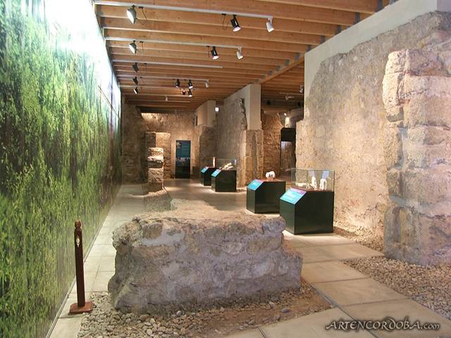 Sala exposiciones