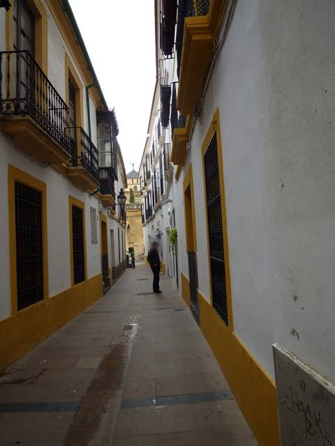 Calle Céspedes