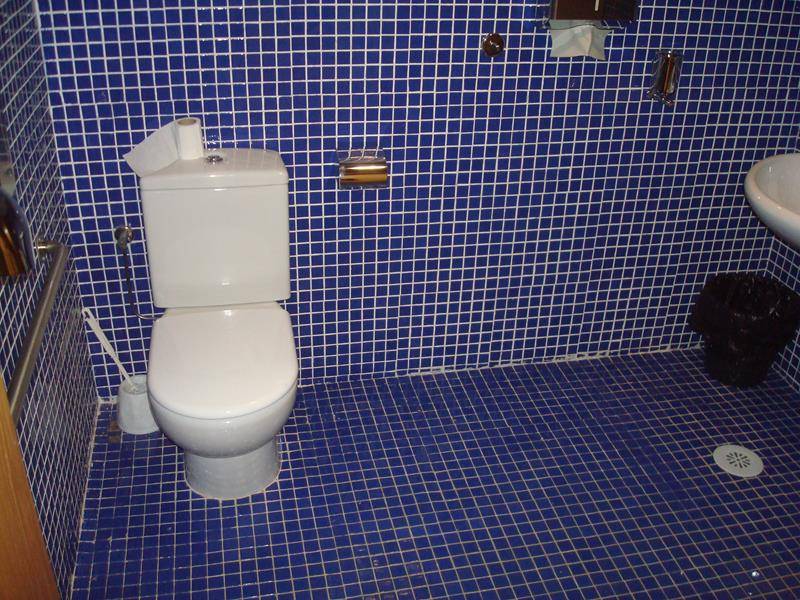 Aseo adaptado
