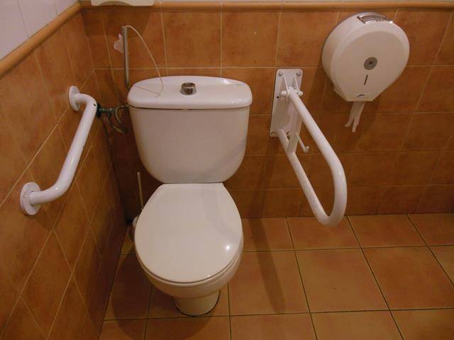 Aseo adaptado