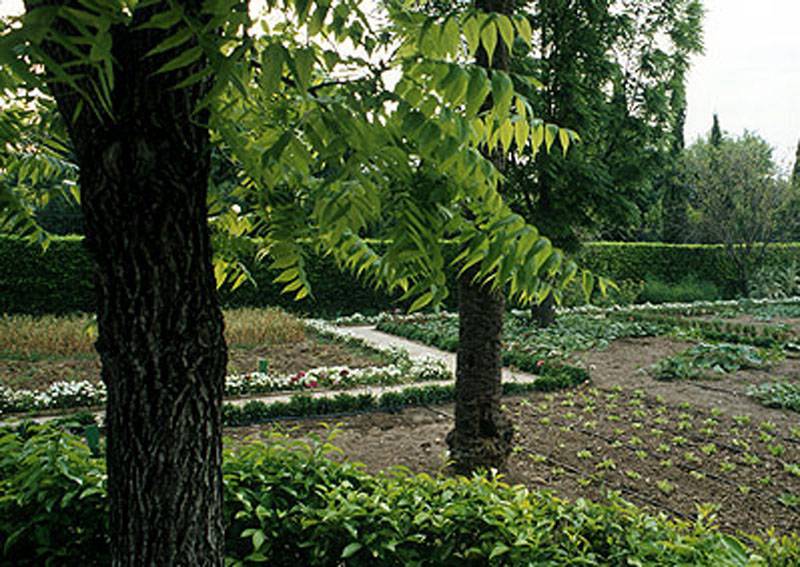 Jardín