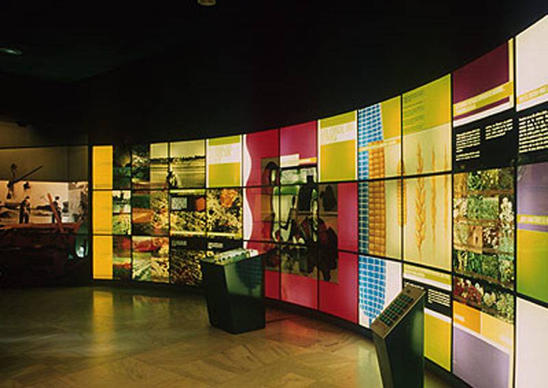 Exposición