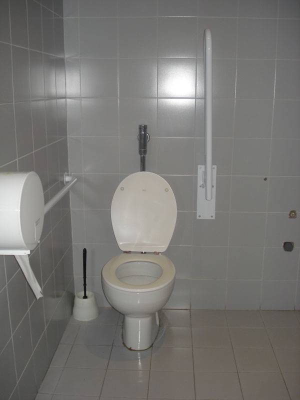 Aseo adaptado