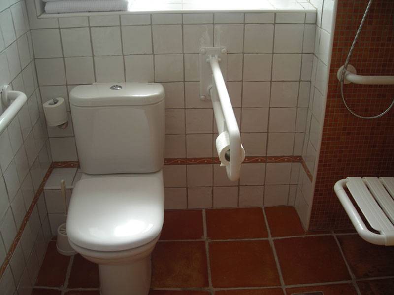 Aseo adaptado