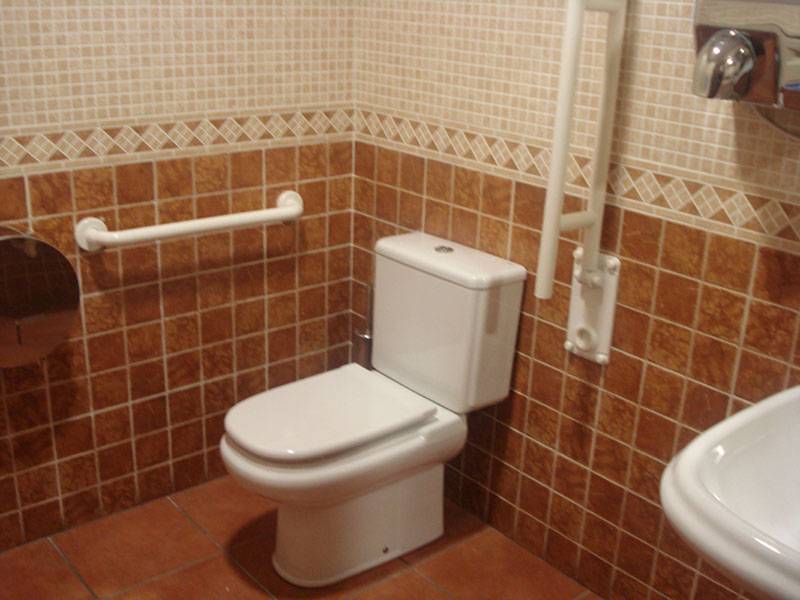 Aseo adaptado