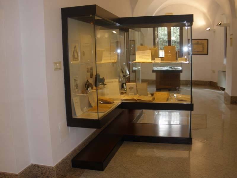 Vitrinas de la exposici&oacute;n