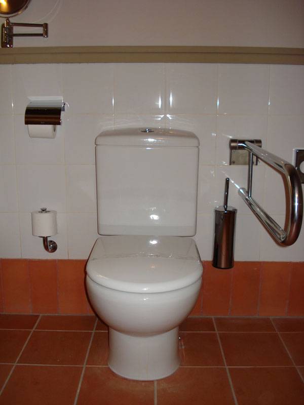 Aseo adaptado