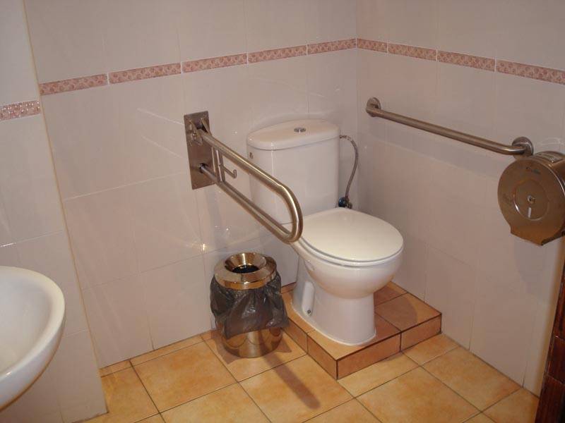 Aseo adaptado