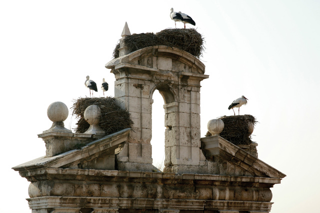 Imagen destacada de Alcalá de Henares